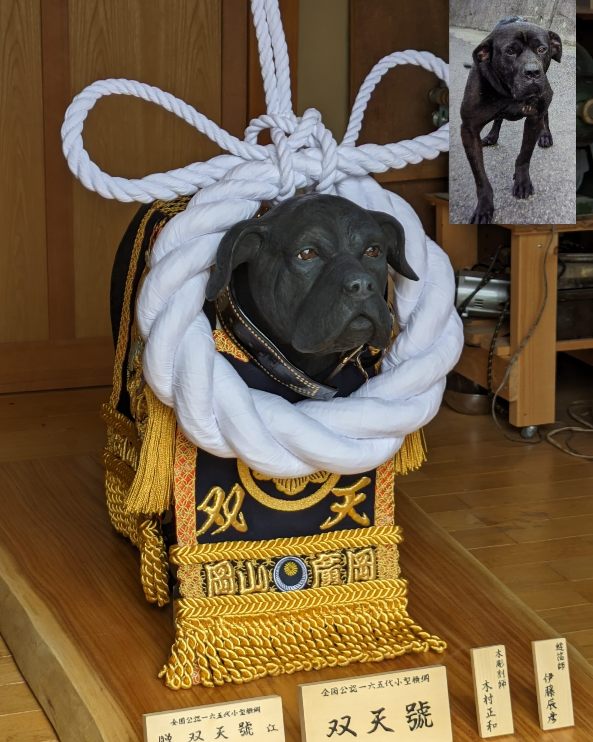 土佐犬オーダーメイド制作　木彫　注文　井波彫刻